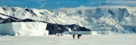 Antarctic_CapeHallett6_4200