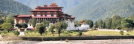 Bhutan_PunakaDzongPlus_8329