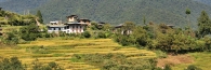 Bhutan_ThToPun_OnTheRoad_8308
