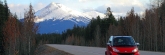 Jasper0828