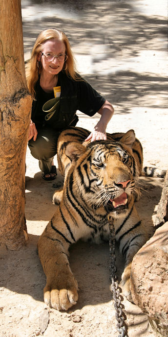 Thailand_TigerTemple_9671.jpg