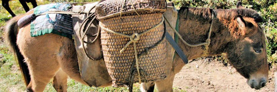Bhutan_BumthangToLobesa_9003.jpg