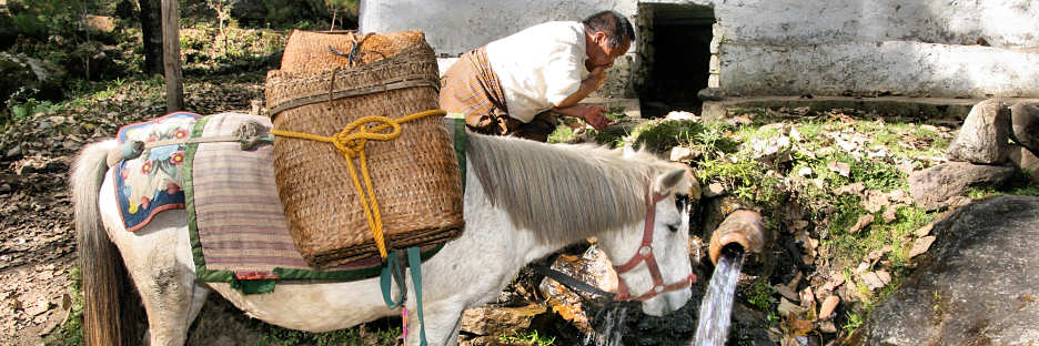 Bhutan_Paro_TigersNest_Plus_9472.jpg