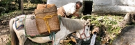 Bhutan_Paro_TigersNest_Plus_9472