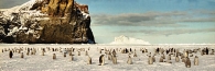 Antarctic_CapeWashington3_4400