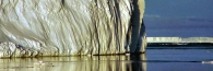 Antarctic_IceBergs26_OI_4100
