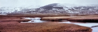 Iceland_AdalvikWaterCourseThroughTundra_4300