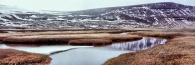 Iceland_AdalvikWaterCourseTundra2_4300