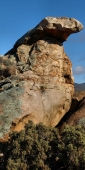 DeathRockBtnHawkerQuorn_PB040491_