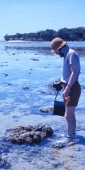 GreenIsland_17_g_4000_v