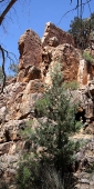 WarrenGorge_6634_m