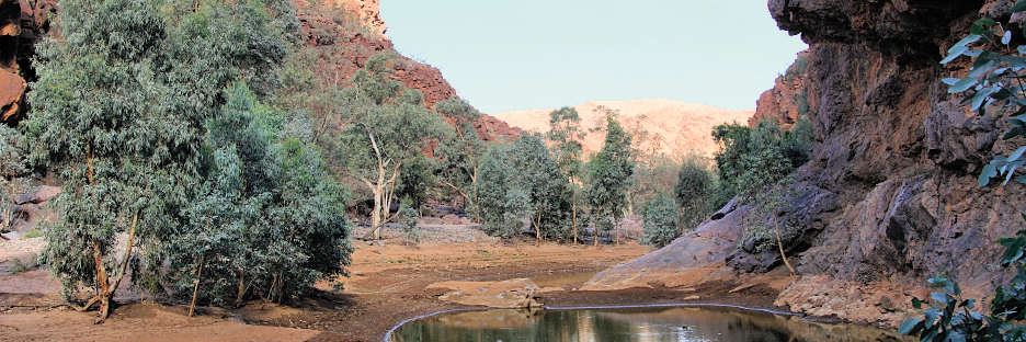 ArkaroolaBarrarannaGorge_6125_m.jpg