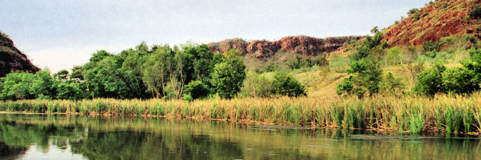 KimberlyOrdR13_4000.jpg