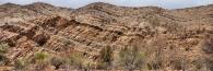 ArkaroolaBollabollanaSpring_6017_18_12500