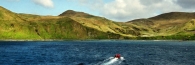 MaquarieIsland9