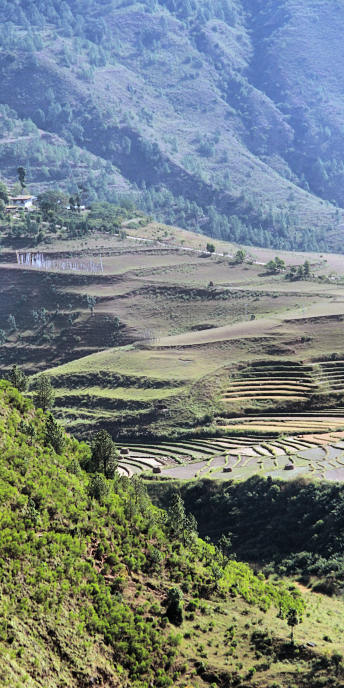 Bhutan_LobesaToParo_9116.jpg