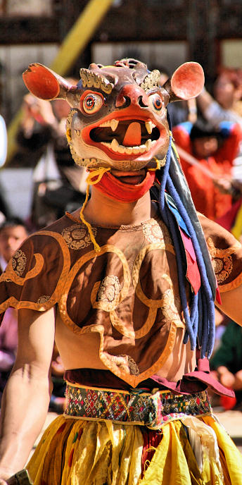 Bhutan_PunakaGangttey_8464.jpg
