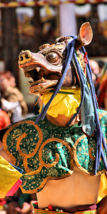 Bhutan_PunakaGangttey_8473.jpg