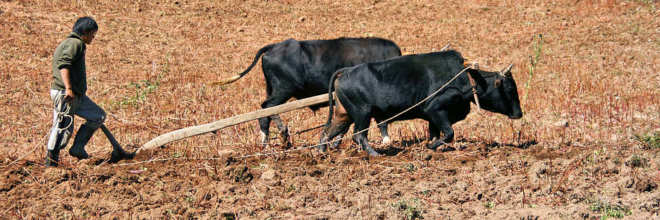 Bhutan_ToUraValley_8940.jpg