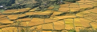 Bhutan_Paro_9260
