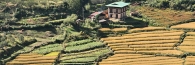 Bhutan_Paro_9280