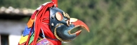 Bhutan_TshechuFestival_7895