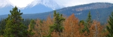 Canada_Jasper_0728