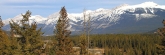 Jasper0915
