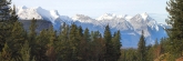 Jasper0974
