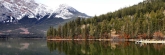 Jasper0980_m