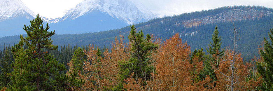 Canada_Jasper_0728.jpg