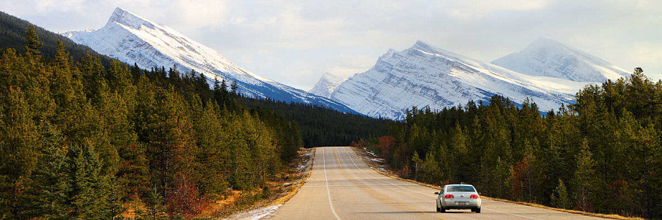 Jasper0801.jpg