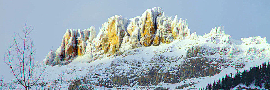 Jasper0824.jpg