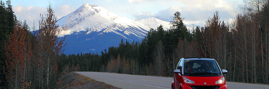 Jasper0828.jpg
