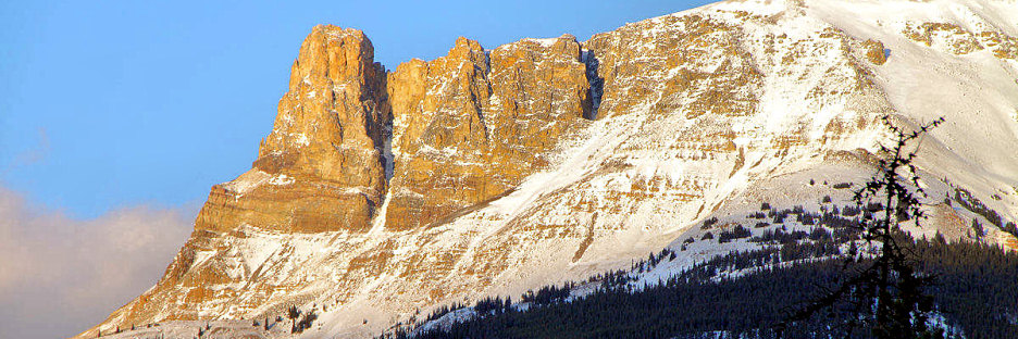 Jasper0846.jpg
