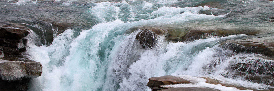 Jasper0870.jpg