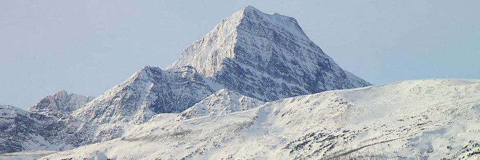 Jasper0895.jpg