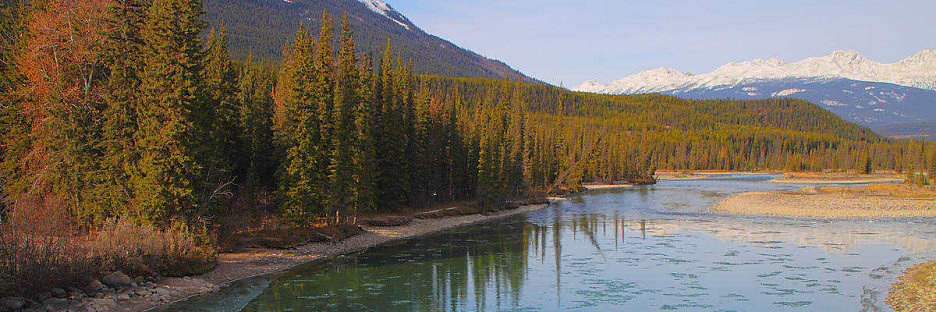 Jasper0903.jpg