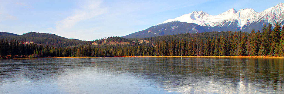 Jasper0922.jpg