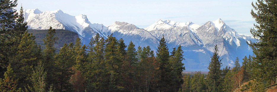 Jasper0974.jpg
