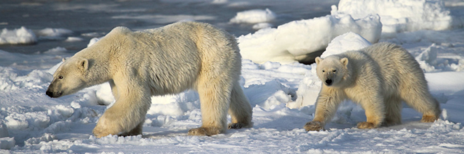 Manitoba_Churchill_Polar_Day3_1959.jpg