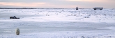 Manitoba_Churchill_PolarB_Day3_2004