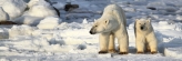 Manitoba_Churchill_Polar_Day3_1957
