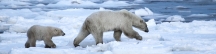 Manitoba_Churchill_PolarB_Day3_2026