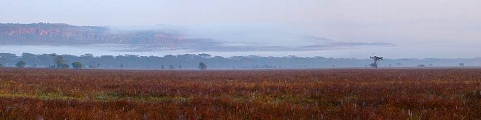 LakeNakuru_FoggyMorning_P3_2053_55_Panorama_9_4x1.jpg