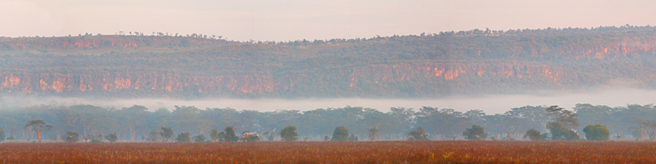 LakeNakuru_FoggyMorning_P5_Panorama_15_4x1.jpg