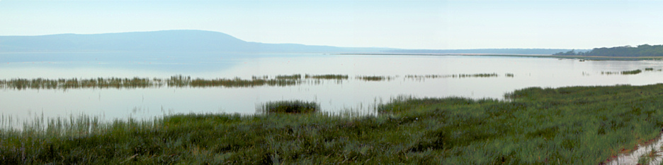LakeNakuru_P4_2167_70_Panorama_11_4x1.jpg