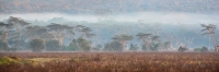 FoggyMorning_P5_2048