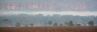 FoggyMorning_P5_2050
