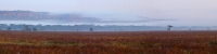LakeNakuru_FoggyMorning_P3_2053_55_Panorama_9_4x1